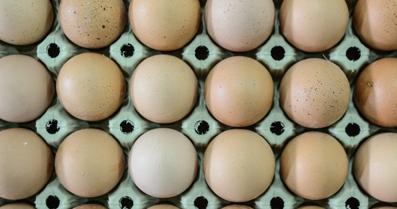Ile jaj rocznie zjadamy? Branża drobiarska kwestionuje dane GUS-u