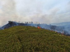 Pożar traw na terenie Bieszczadzkiego Parku Narodowego